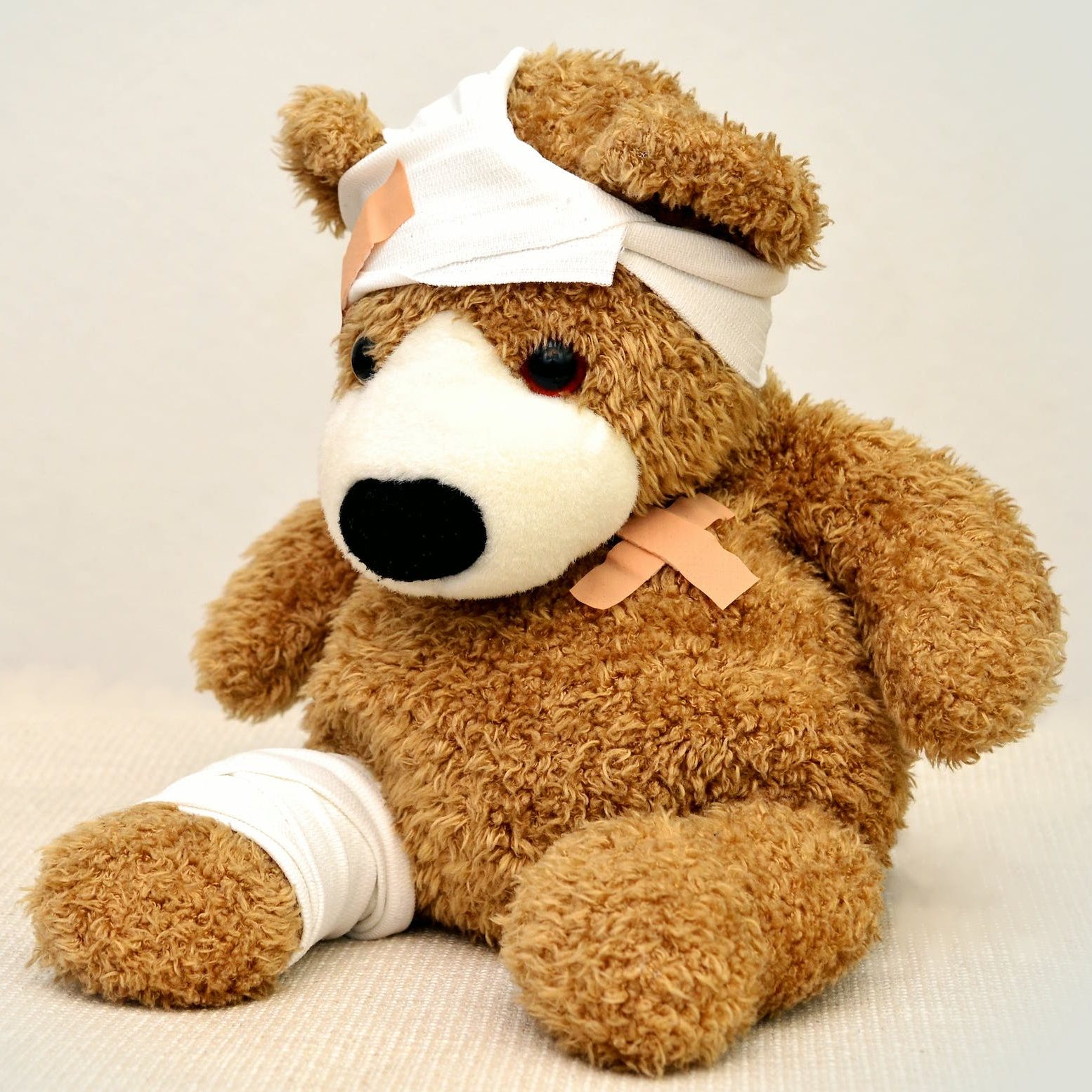 Brown and White Bear Plush Toy